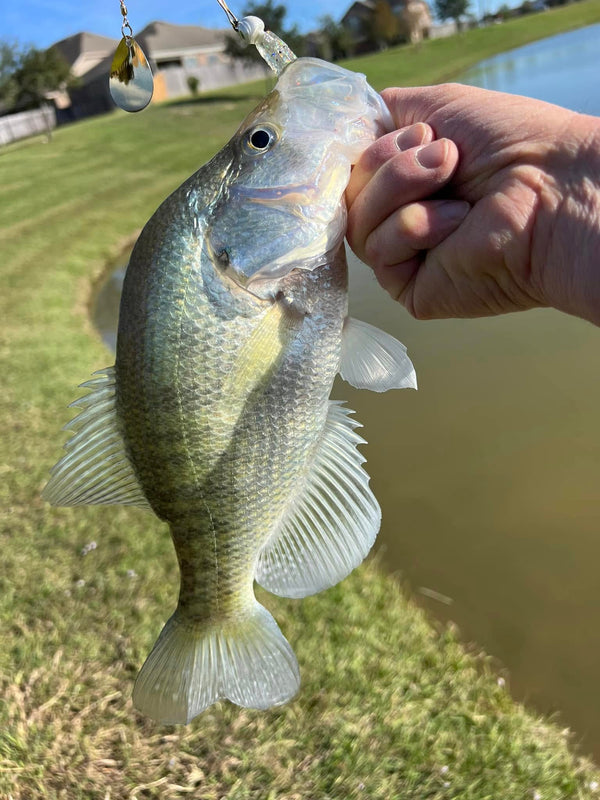3.25
