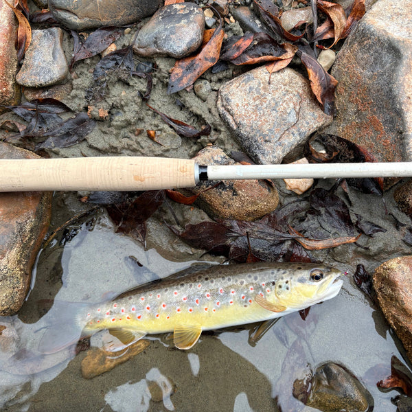 MothRod 8'5