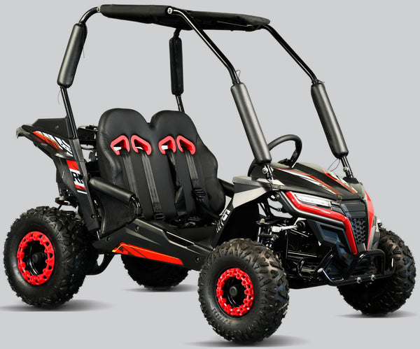 TrailMaster Cheetah-6 Go Kart, 5.5hp Electric Start, Remote Start/Kill with Reverse, Kids Ages 4-9