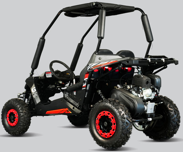 TrailMaster Cheetah-6 Go Kart, 5.5hp Electric Start, Remote Start/Kill with Reverse, Kids Ages 4-9