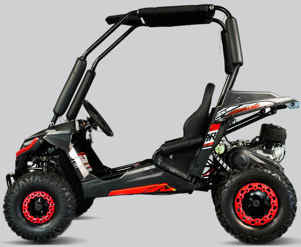 TrailMaster Cheetah-6 Go Kart, 5.5hp Electric Start, Remote Start/Kill with Reverse, Kids Ages 4-9