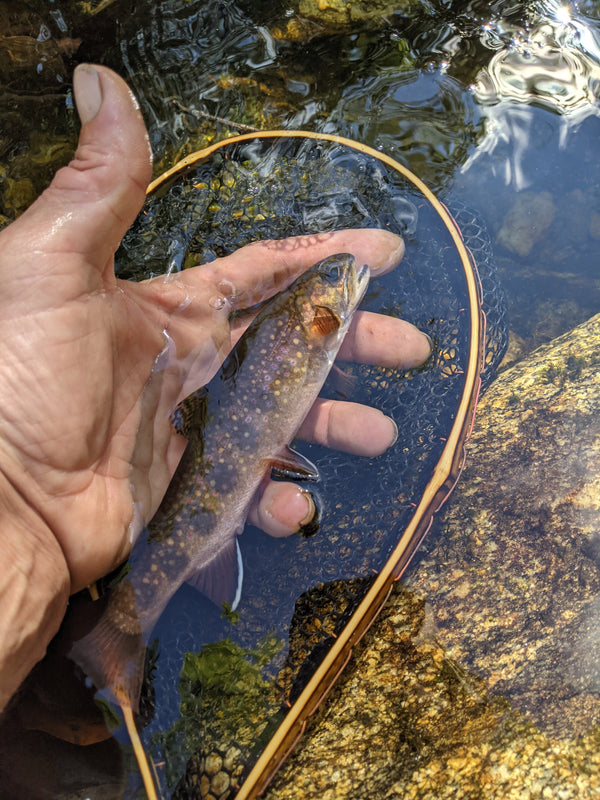 Speck - Bamboo Fly Fishing Landing Net/Hand Net