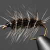 Griffith's Gnat