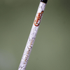 1 of 220 The Testament of Time Spinning Rod - Limited Edition Rod
