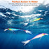 files/10-piece-fishing-lures-kit-sports-outdoors-dailysale-983203.jpg