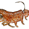 Knockin Shrimp Cracklin With Built-In Tail Rattle