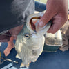 4" Texas Roach With Built-In Tail Rattle