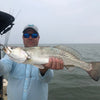 3.25" G Shad With Built-In Tail Rattle