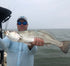 files/1000052998_dcb5cd35-7e7b-4426-b353-cbdc2d2f4197.jpg