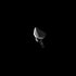 files/100_Grain_XL_Single_Bevel_Quartering_Up_To_black.webp