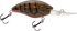files/10442BownCraw.png