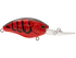 files/10450profile.png
