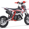 TrailMaster TM10 110cc Dirt Bike 4-Speed Auto Clutch, Dual Disc (10/10), Ages 8-12