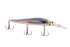 files/16978_Rainbow_Smelt_b42d8875-9292-4c6a-9449-fdfddf0a584c.png