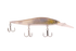 files/16988_Smooth_Shad_b50f2775-952a-418c-9cf7-ecdd631b61df.png