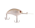 files/17083_Sweet_Shad.png