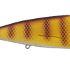 Magnus