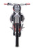 files/18_-_GoKarts_USA_-1822787.jpg