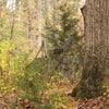 Nukem Double Up System - Mossy Oak Obsession 3D Leafy