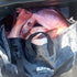 files/25-Waterproof-Fish-Bag-with-Aerator-Pocket-Buffalo-Gear-37839304884481.jpg