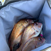 27QT Insulated Fish Cooler Bag, Flat Bottom