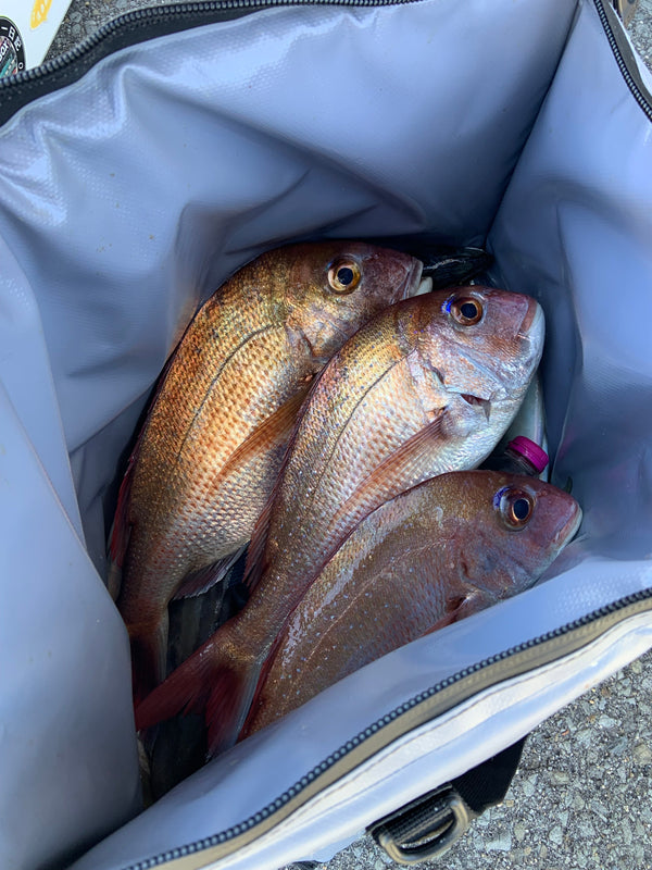 27QT Insulated Fish Cooler Bag, Flat Bottom