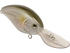 files/2819angle_0b4ae32e-4dae-4d9a-ab40-7f9d14f89d5b.png