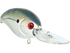 files/2831angle_0b58c1a1-c13f-4536-972d-f49df4e03f34.png