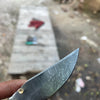 Rosewood Trail Folder Knife 6" Handmade Rosewood Handle EDC Folder