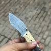 Stagline Damascus Folder 7" Handmade Horn Handle Damascus Bolster