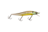 files/3487Gilly.png