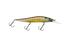 files/3587Gilly.png