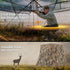 files/360_One_Way_See_Through_Ground_Hunting_Blind_for_Deer_and_Turkey_Hunting-6_9cd9184c-6d80-436e-aac2-583f6df9bdb1.jpg