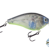 Primetyme SQ 2.0