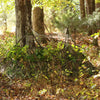 Nukem Double Up System - Mossy Oak Obsession 3D Leafy
