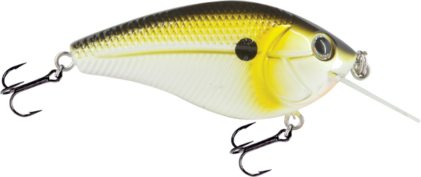 Primetyme CB 1.5