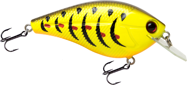 Primetyme CB 1.5