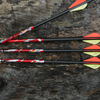 Carbon Express D-Stroyer MX Hunter Carbon Hunting Arrows and Shafts