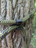 files/3d-hunting-solutions-1-hook-saddle-bridge-and-rope-caddy-rope-56294124847391.jpg