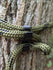 files/3d-hunting-solutions-1-hook-saddle-bridge-and-rope-caddy-rope-56294125240607.jpg