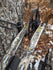 Amsteel Split Limb Bow Hanger