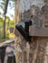 files/3d-hunting-solutions-default-title-angled-gear-hook-for-saddle-hunting-56294003769631.jpg