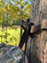 files/3d-hunting-solutions-default-title-angled-gear-hook-for-saddle-hunting-56294004850975.jpg