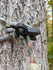 files/3d-hunting-solutions-tether-clip-default-title-t-rex-tether-clip-mobile-saddle-hunting-one-sticking-56294317031711.jpg