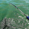 Palmarius P+ Blue EVA Slow Pitch Jigging Rods