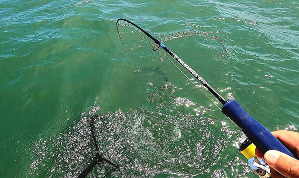 Palmarius P+ Blue EVA Slow Pitch Jigging Rods