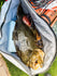files/45QT-Fish-Cooler-Bag-With-Flat-Bottom-Buffalo-Gear-37431645208833.jpg