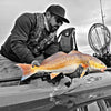3.25" Watermelon Red With Built-In Tail Rattle