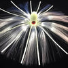 Joe Shute Glow in the Dark Series 5-3/4oz