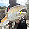 5" Smoke Shad With Built-In Tail Rattle